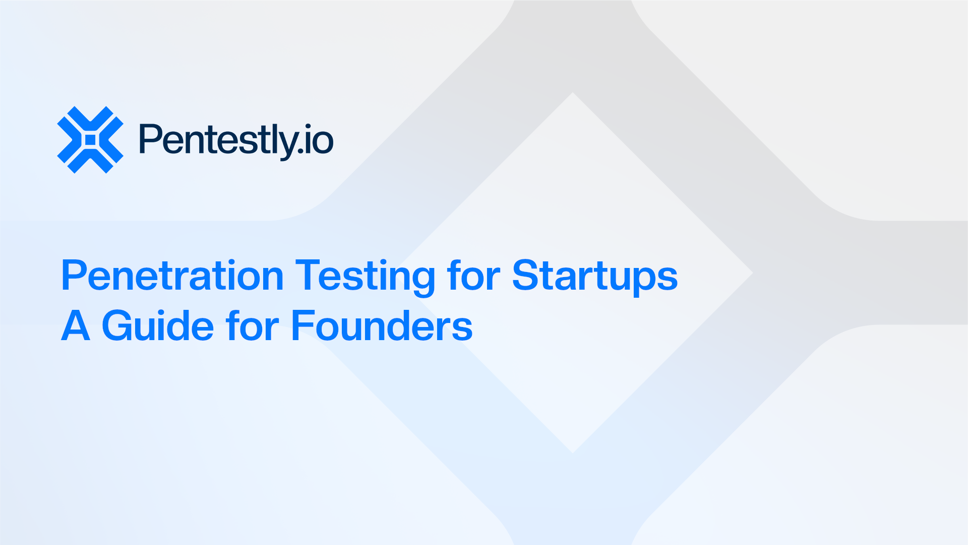 Penetration Testing for Startups: A Founder's Guide